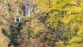 Naruko Gorge Autumn leaves in the fall season, Japan Royalty Free Stock Photo