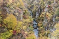 Naruko Gorge Autumn leaves in the fall season, Japan Royalty Free Stock Photo