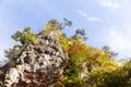 Naruko Gorge Autumn leaves in the fall season Royalty Free Stock Photo