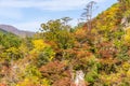 Naruko gorge in autumn season Royalty Free Stock Photo