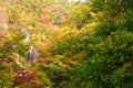 Naruko Gorge with colorful autumn foliage Royalty Free Stock Photo