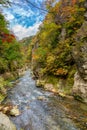 Naruko Gorge Japan Royalty Free Stock Photo