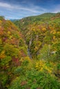 Naruko Gorge, Miyagi, Japan Royalty Free Stock Photo