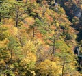 Naruko Gorge Miyagi Tohoku Japan Royalty Free Stock Photo