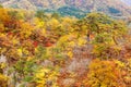 Naruko Gorge valley with rail tunnel in Miyagi Tohoku Japan Royalty Free Stock Photo