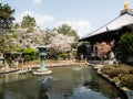 Cherry blossoms at Ryozenji, temple number 1 of Shikoku-henro pilgrimage Royalty Free Stock Photo