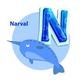 Narval is for N Letter Cartoon Children Alphabet