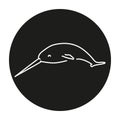 Narwhal color line illustration. Marine mammals. Royalty Free Stock Photo