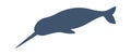 Narwhal marine animal silhouette flat icon