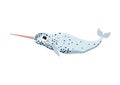 Narwhal or unicorn of the sea northern animal, vector illustration isolated.