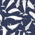 Narwhal . Vector pattern