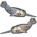 Narwhals