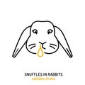 Nasal discharge from rabbits nose. Common pet disease symbol.