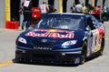 NASCAR - #83 Red Bull Racing