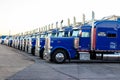 Nascar hauling trucks all lined up in a row.