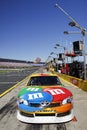 NASCAR - Kyle Busch's M&Ms Toyota Camry Portrait