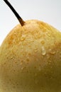 Nashi (chinese) pear closeup Royalty Free Stock Photo