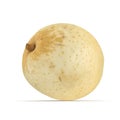 Nashi Pear 3D Illustration on White Background Isolated