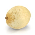 Nashi Pear 3D Illustration on White Background Isolated