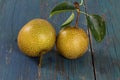 Nashi pear Royalty Free Stock Photo