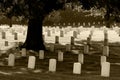 Nashville National Cemetery