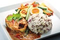 NASI DAGANG Royalty Free Stock Photo