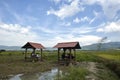 Visitors enjoying meal at hut beside paddy field, Nasi Dagang Pak Malau, Langkawi, Malaysia.
