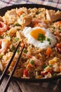 Nasi goreng with chicken, shrimp and vegetables close-up Vertica