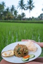 Nasi goreng, traditional Indonesian dish served with prawn crackers and chicken satay on white plate