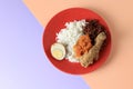 Nasi Gudeg, Traditional Dish from Yogyakarta and Central Java, Indonesia. White Rice mixed with Gudeg, Krecek, Egg, and Chicken