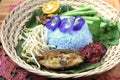 Nasi Kerabu - Malaysian Traditional Cuisine Royalty Free Stock Photo