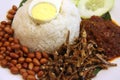 Nasi lemak