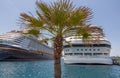 Nassau, Bahamas - May 14, 2019: Disney Dream and Carnival Sunrise cruise ships docked at Prince George Wharf. Palm tree and