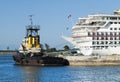 Nassau Harbor Tugboat