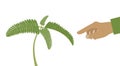 Nastic movements -it is a directional movement in plants in response to touch. Mimosa pudica plant is folding up leaves when