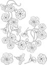 Nasturtium flower art nouveau style tattoo Royalty Free Stock Photo