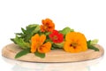 Nasturtium Flower and Herb Salad Royalty Free Stock Photo