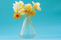 Nasturtium flowers in a glass vase. Beautiful bouquet. Romantic