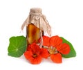 Nasturtium flowers with a pharmaceutical bottle. Royalty Free Stock Photo