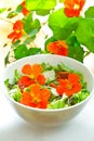 Nasturtium flowers salad bowl white