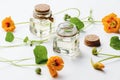 Nasturtium Oil, Tropaeolum majus flowers leaves seeds on white background Royalty Free Stock Photo