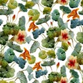 Nasturtium pattern