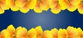 Nasturtium Seamless border. Yellow flowers. Beautiful Horizontal banner. Dark blue background. Card, invitation, poster, greeting Royalty Free Stock Photo