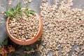 Nasturtium seeds in a clay pot on a blurred background