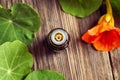 Nasturtium tincture with fresh blooming Tropaeolum majus plant