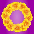 Nasturtium wreath. Wild Yellow flowers. Beautiful Floral circle isolated on bright pink background. Vector illustration.Card Royalty Free Stock Photo