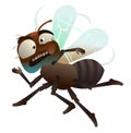 Nasty fly. Dirty insect. Animal parasite. Object isolated on white background. Cartoon fun style Illustration vector Royalty Free Stock Photo