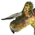 Nasutoceratops Dinosaur Head Royalty Free Stock Photo