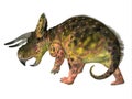 Nasutoceratops Dinosaur Tail