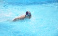 Natation Royalty Free Stock Photo